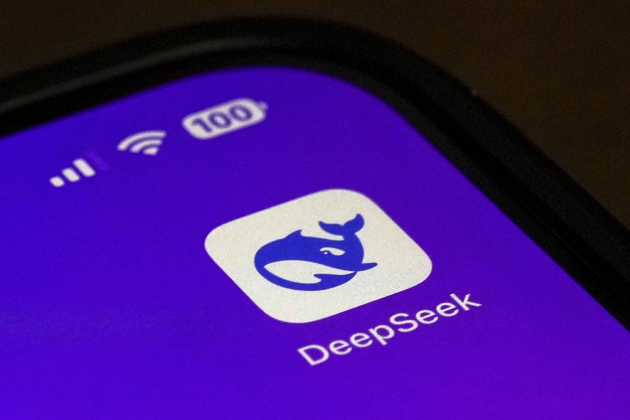 狂飙13天：开源DeepSeek如何撼动全球AI市场  第1张
