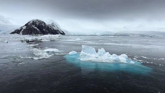 “没赔偿，感觉很亏”！数百人滞留南极，一大半是中国人！有游客称一行人多花20万元  第2张