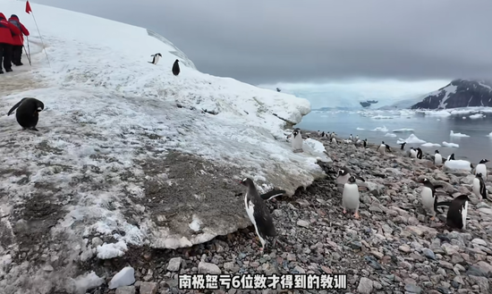 “没赔偿，感觉很亏”！数百人滞留南极，一大半是中国人！有游客称一行人多花20万元  第3张
