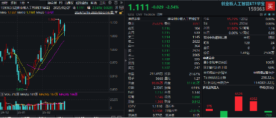 算力大调整，创业板人工智能ETF华宝（159363）全天振幅近5%！DeepSeek提振，英伟达产业链或有补涨预期  第1张