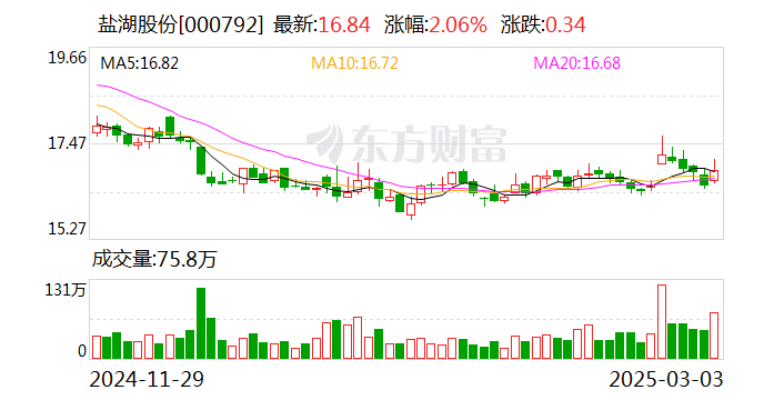 盐湖股份：3月19日将召开2025年之一次临时股东大会  第1张