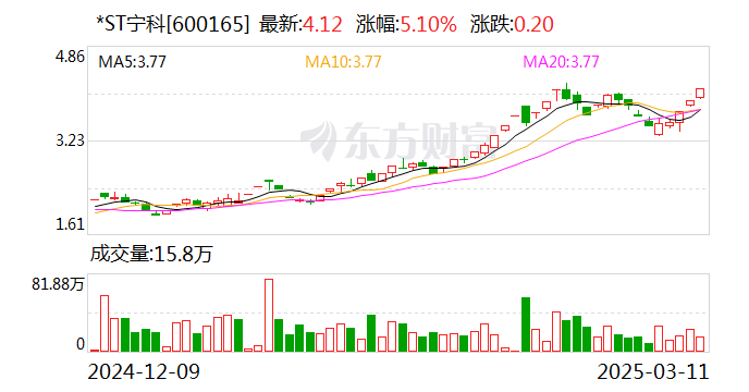 *ST宁科：公司年报编制和审计工作正在进行  第1张