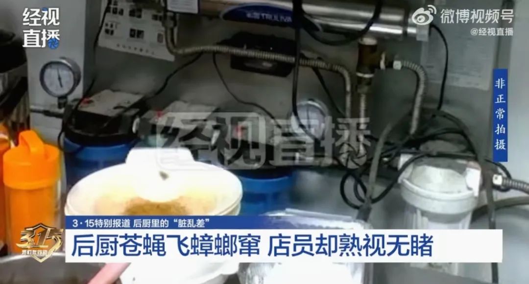 华莱士被曝蟑螂窜、苍蝇飞！店长：比起食品安全，更关心业绩…负责人刚刚回应  第1张