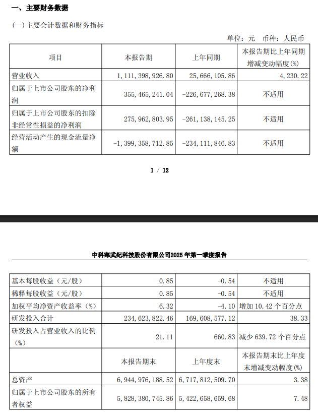 寒武纪 2025 年之一季度营收 11.11 亿元同比增长 4230.22%，实现扭亏为盈  第1张