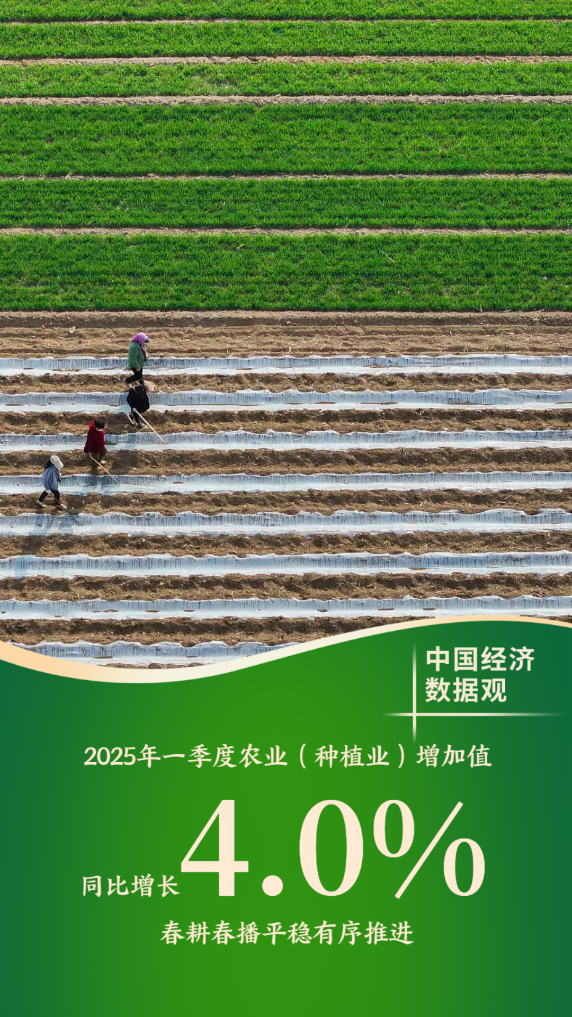 中国经济数据观丨十组数据看一季度经济发展成色  第3张