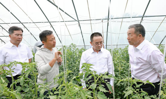 茅台在河南周口李寨村召开七省区经销商座谈会  第1张
