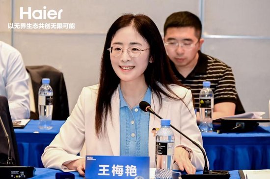 《海尔兄弟》动画续集座谈会召开 跨界共探经典IP焕新之路  第2张