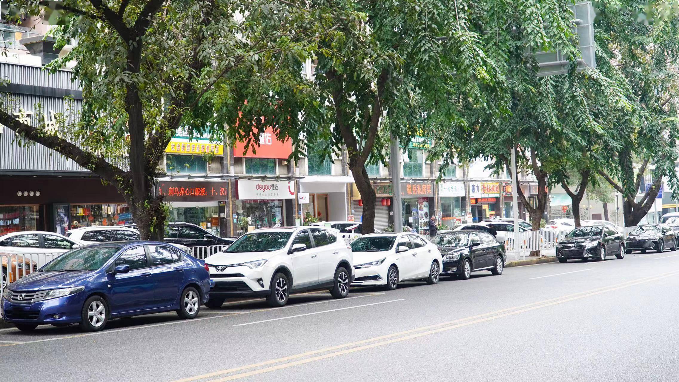 东莞南城街道专注智能停车(东莞南城路边停车收费app)  第1张