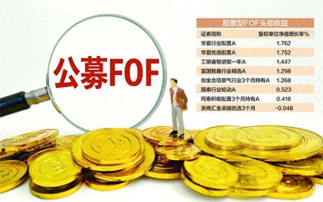 部分基金被多只FOF重仓(一个股票被基金重仓买入什么意思)  第2张
