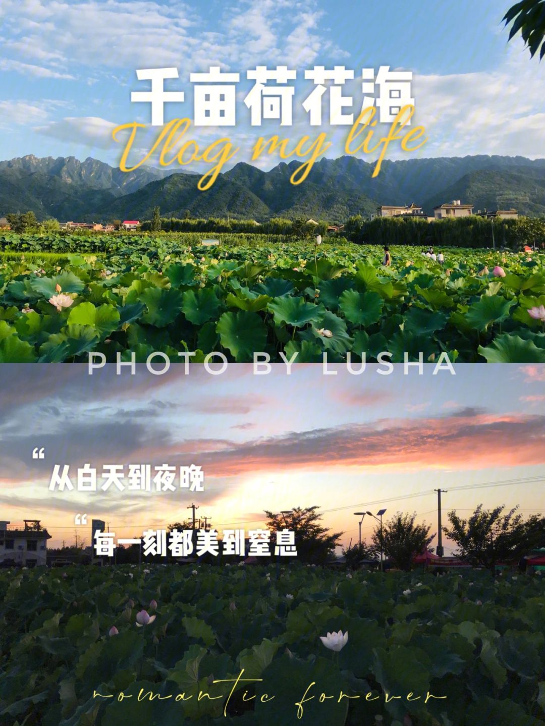 关于火热的周边游，喂饱了“本地生活”的信息  第2张