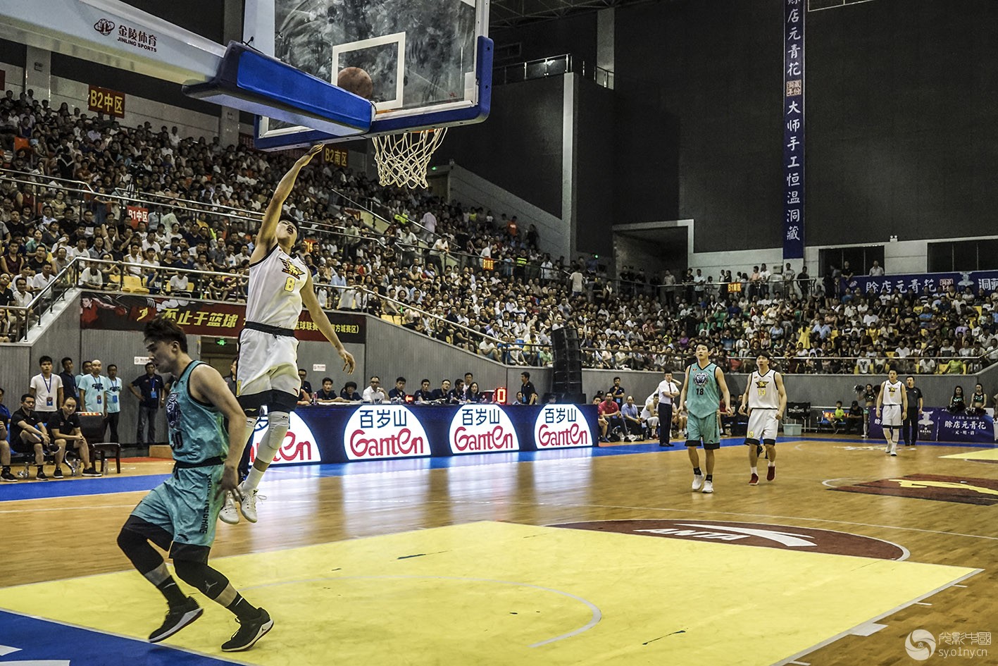 nbl全国男子篮球联赛(NBL全国男子篮球联赛在哪里看)  第1张