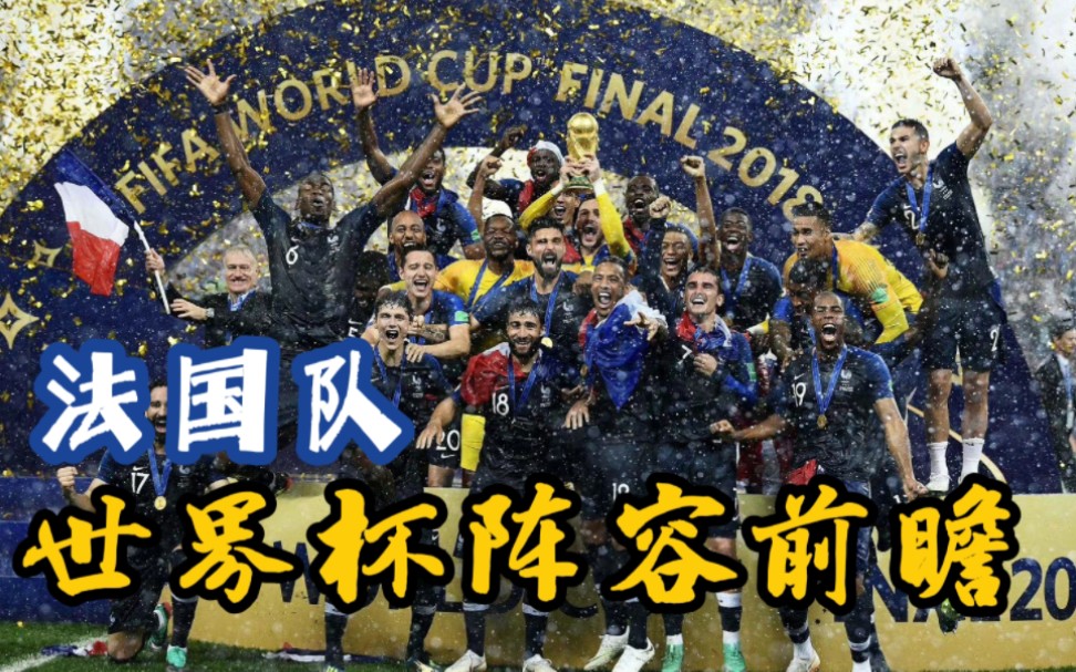 法国世界杯阵容(06年法国世界杯阵容)  第2张