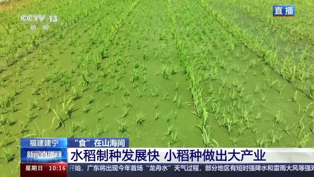 360绿色直播(360绿色直播篮球球直播)  第1张