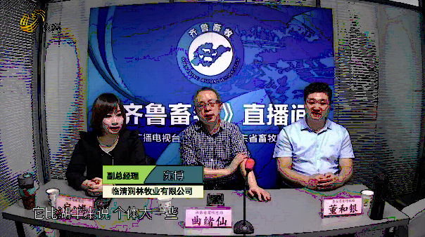 齐鲁台直播在线观看(齐鲁台直播在线观看今晚节目回放)  第1张