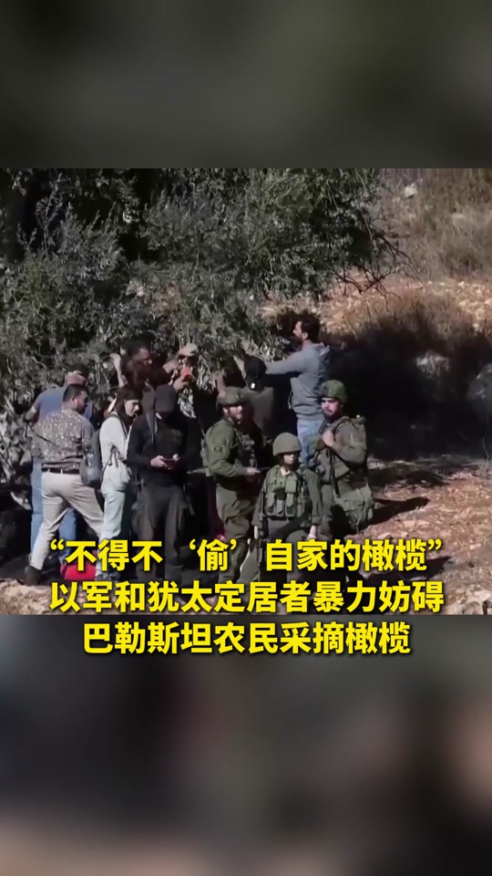 巴勒斯坦(巴勒斯坦以色列)  第1张