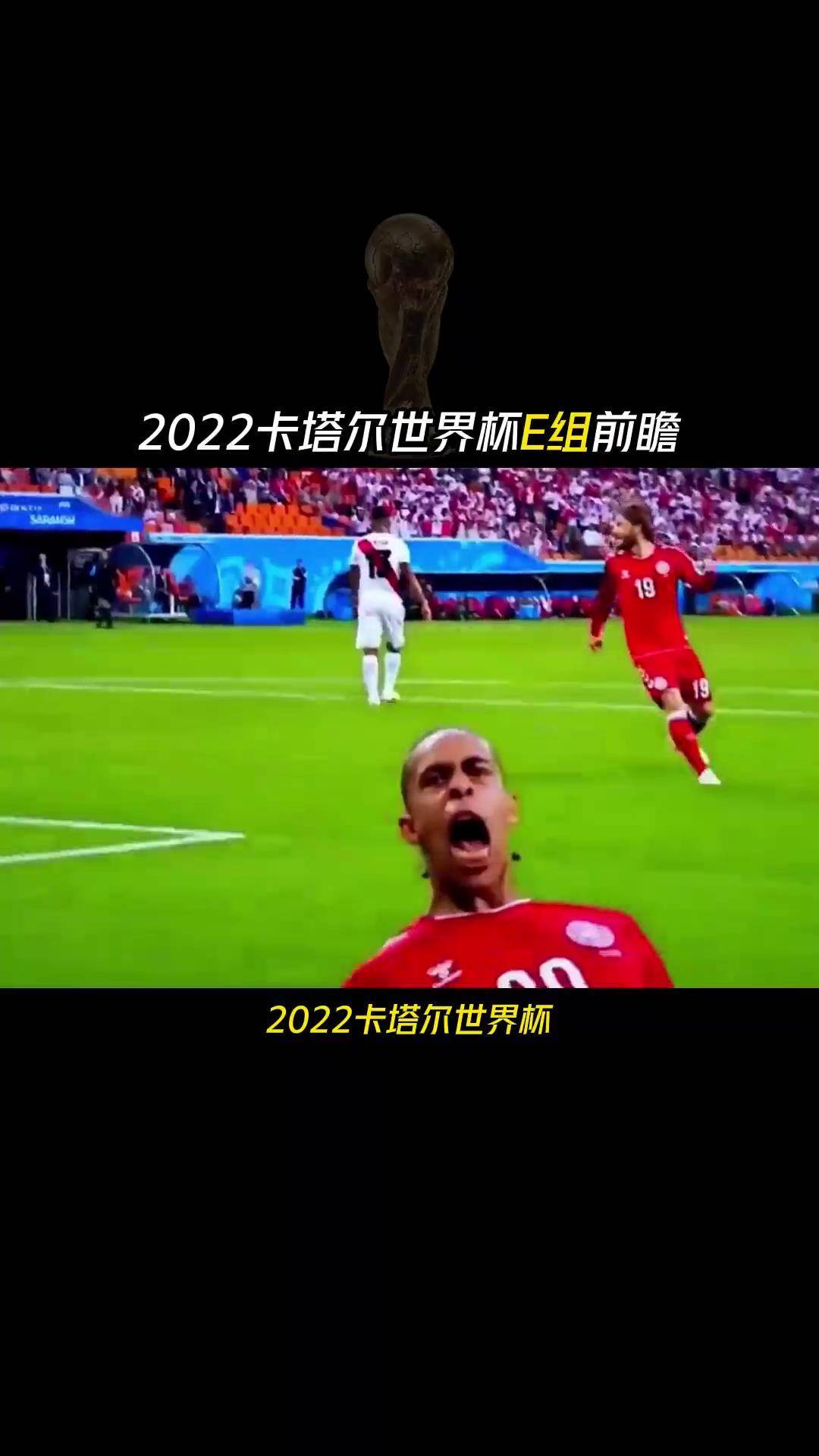 世界杯回放2022卡塔尔比赛(世界杯回放2022卡塔尔比赛结果)  第2张