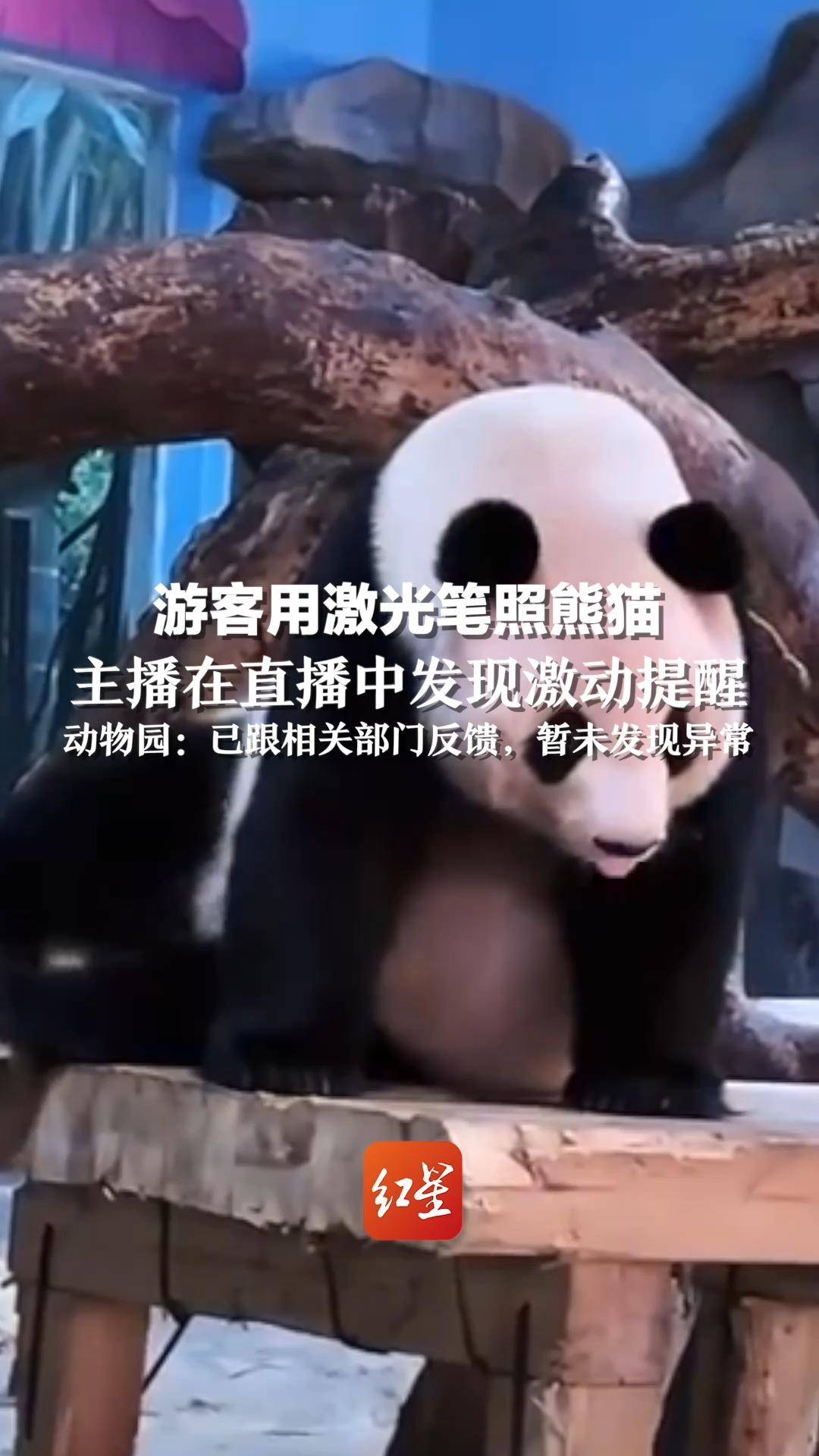 游客可进的直播(游客可进的直播 夜月)  第2张
