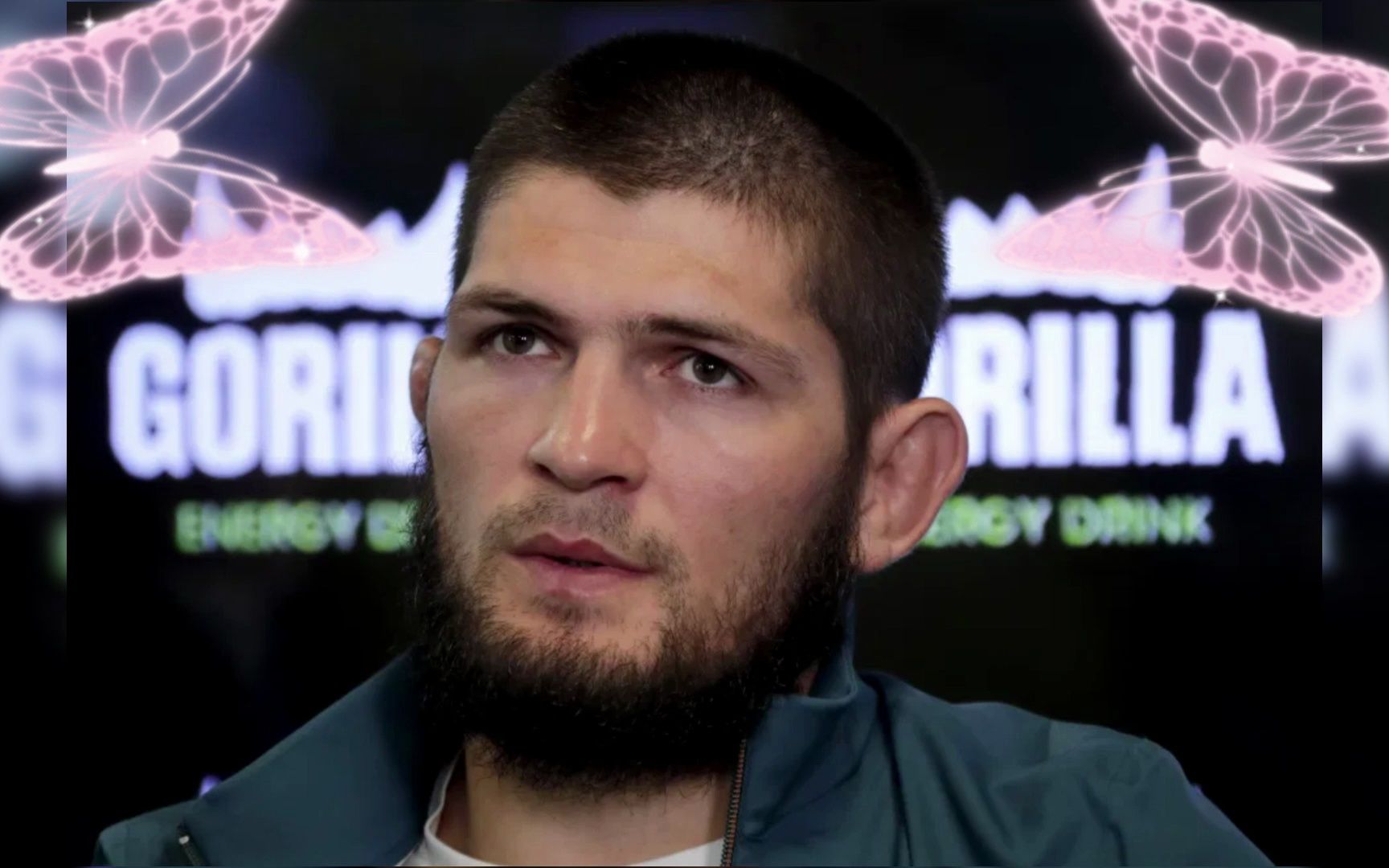 ufc直播在线(ufc直播在线观看回放)  第1张