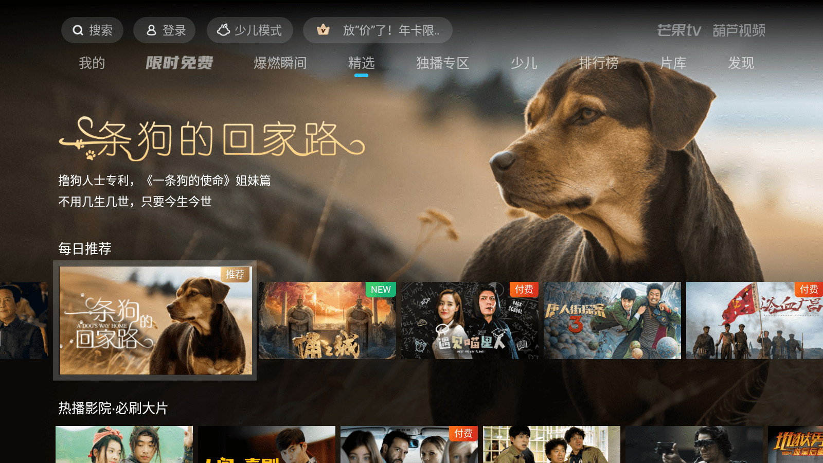 cctv6在线直播观看回放(cctv6在线直播观看回放高清)  第1张
