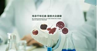 欧洲杯怎么买球投注(欧洲杯怎么买单场固定球员)  第2张