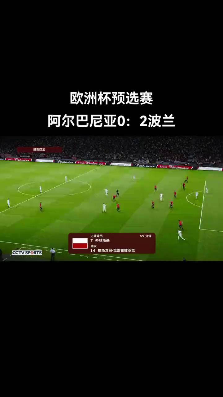 欧洲杯预选赛在线观看(欧洲杯预选赛在线观看视频)  第2张