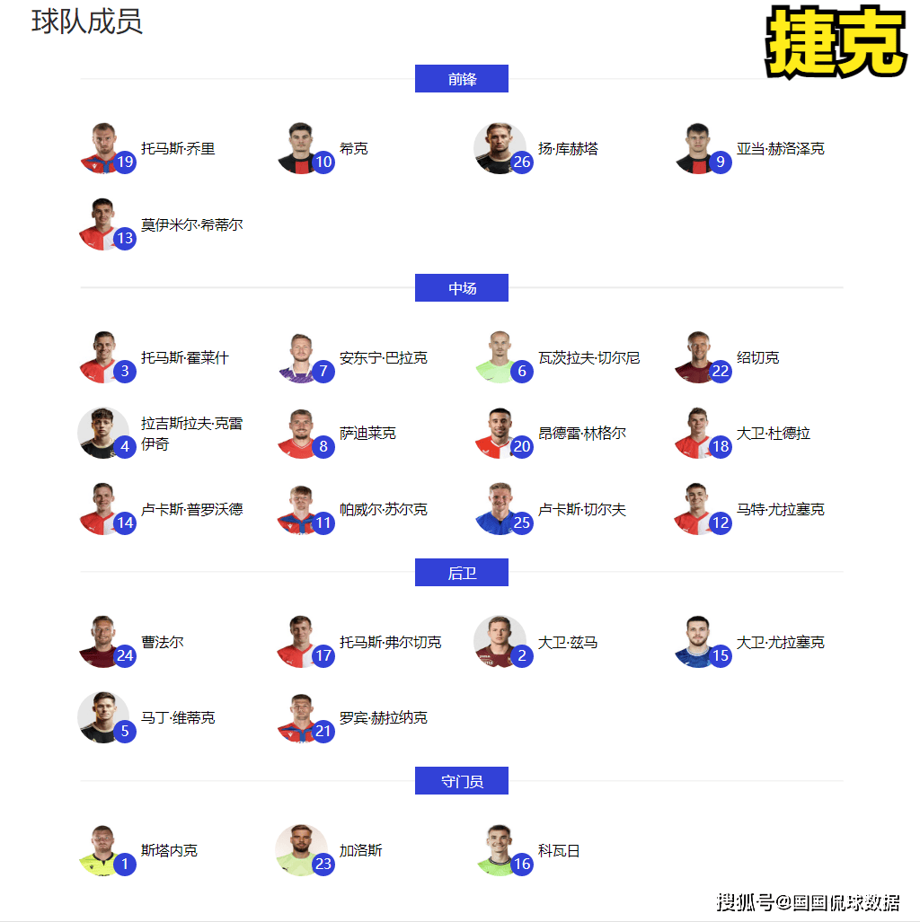 欧洲杯阵型(欧洲杯阵出炉)  第2张