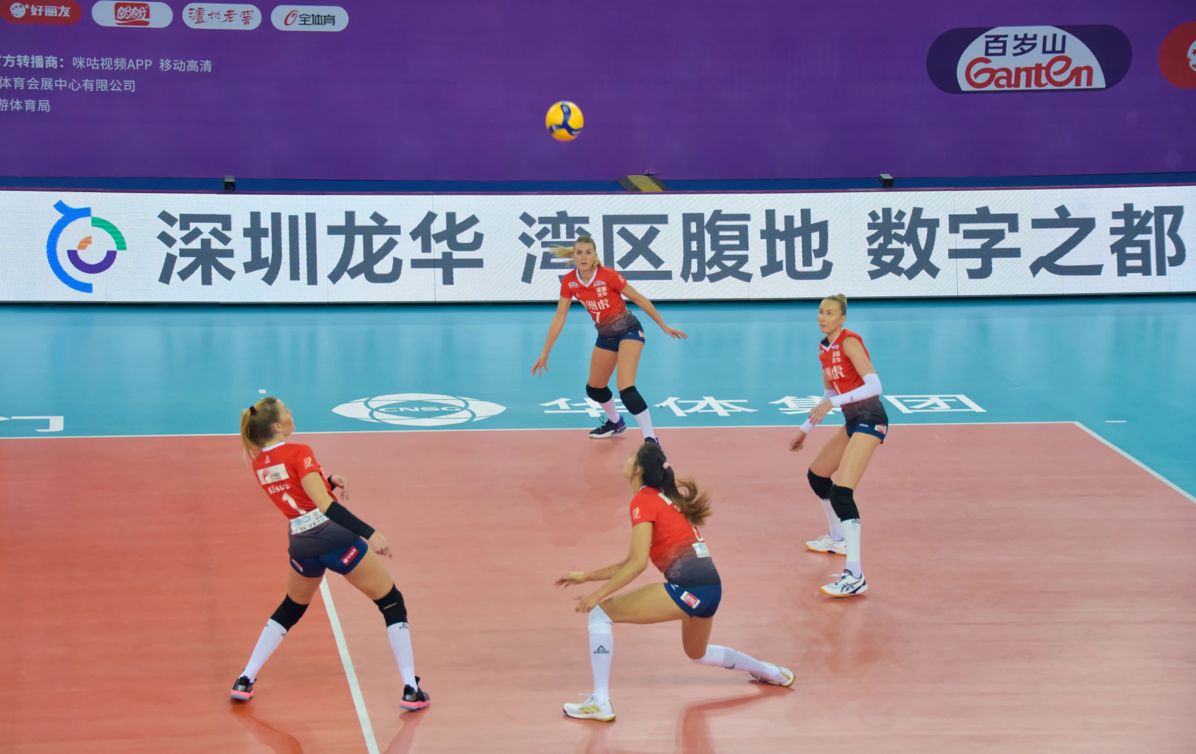 咪咕视频女排直播(咪咕视频在线直播女排联赛2019年)  第1张