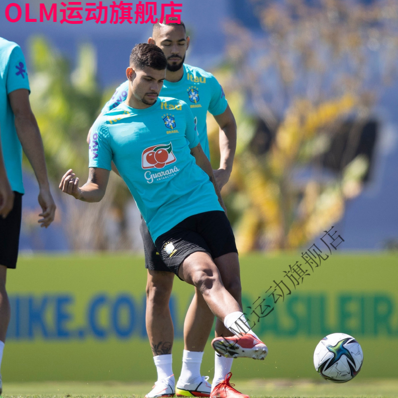 brazil欧洲杯(欧洲杯赛事bman03in)  第1张